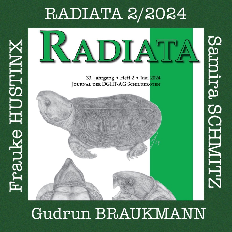 RADIATA 2/2024 – Titelblatt des Journals der DGHT-AG Schildkröten