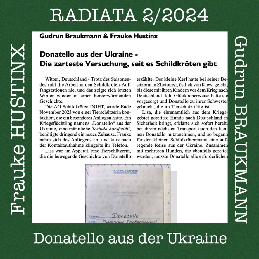 RADIATA 2/2024 – Fachartikel von Gudrun Braukmann und Frauke Hustinx